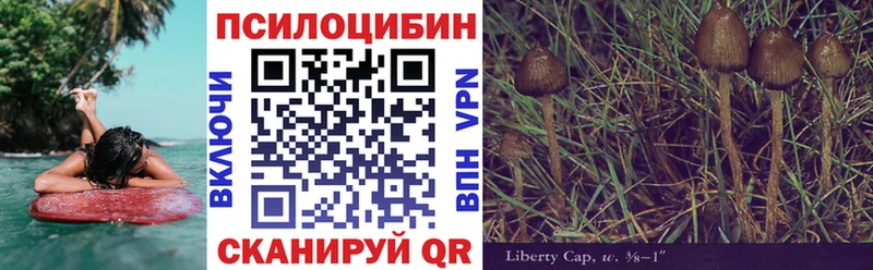 Галлюциногенные грибы мицелий даркнет сайт Кириши